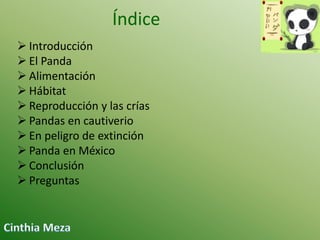 Índice
 Introducción
 El Panda
 Alimentación
 Hábitat
 Reproducción y las crías
 Pandas en cautiverio
 En peligro de extinción
 Panda en México
 Conclusión
 Preguntas

 
