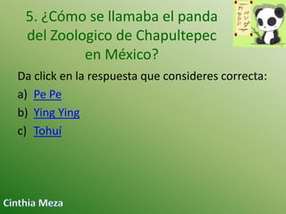 5. ¿Cómo se llamaba el panda
del Zoologico de Chapultepec
en México?
Da click en la respuesta que consideres correcta:
a) Pe Pe
b) Ying Ying
c) Tohuí

 