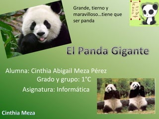Grande, tierno y
maravilloso…tiene que
ser panda

Alumna: Cinthia Abigail Meza Pérez
Grado y grupo: 1°C
Asignatura: Informática

 