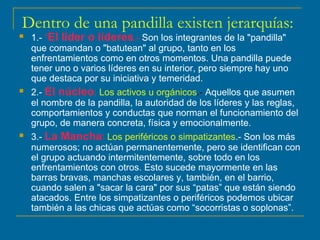 Dentro de una pandilla existen jerarquías:   1.-  “ El líder o líderes .-  Son los integrantes de la "pandilla" que comandan o "batutean" al grupo, tanto en los enfrentamientos como en otros momentos. Una pandilla puede tener uno o varios líderes en su interior, pero siempre hay uno que destaca por su iniciativa y temeridad. 2.-  El núcleo :   Los activos u orgánicos .-  Aquellos que asumen el nombre de la pandilla, la autoridad de los líderes y las reglas, comportamientos y conductas que norman el funcionamiento del grupo, de manera concreta, física y emocionalmente. 3.-  La Mancha :   Los periféricos o simpatizantes .- Son los más numerosos; no actúan permanentemente, pero se identifican con el grupo actuando intermitentemente, sobre todo en los enfrentamientos con otros. Esto sucede mayormente en las barras bravas, manchas escolares y, también, en el barrio, cuando salen a "sacar la cara" por sus “patas” que están siendo atacados. Entre los simpatizantes o periféricos podemos ubicar también a las chicas que actúas como “socorristas o soplonas”.  