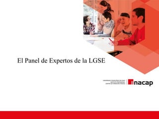 El Panel de Expertos de la LGSE
 