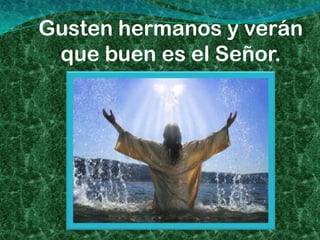 Gusten hermanos y verán
 que buen es el Señor.
 