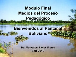Modulo Final
Medios del Proceso
Pedagógico
Bienvenidos al Pantanal
Boliviano
De: Marysabel Flores Flores
EMI-2010
 