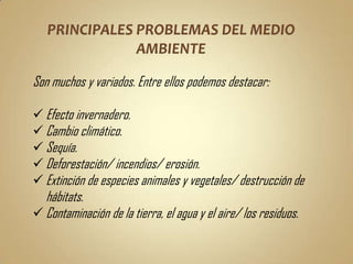 Son muchos y variados. Entre ellos podemos destacar:

 Efecto invernadero.
 Cambio climático.
 Sequía.
 Deforestación/ incendios/ erosión.
 Extinción de especies animales y vegetales/ destrucción de
  hábitats.
 Contaminación de la tierra, el agua y el aire/ los residuos.
 