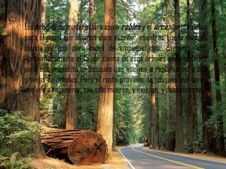 Los árboles de madera dura como robles y el arce son utilizados
para el papel que usamos para escribir, mientras que la madera
blanda se usa para papel de empaquetados, cartones, etc.
Aproximadamente el 15 por ciento de esos árboles son plantados
para ese propósito en bosques que vuelven a replantarse, o sea
granjas de árboles. Pero el resto proviene de bosques que no se
vuelven a regenerar, tan sólo mueren, y mueren, y desaparecen.
 