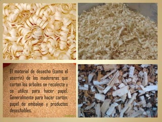 El material de desecho (como el
aserrín) de las madereras que
cortan los árboles se recolecta y
se utiliza para hacer papel.
Generalmente para hacer cartón,
papel de embalaje y productos
desechables.
 