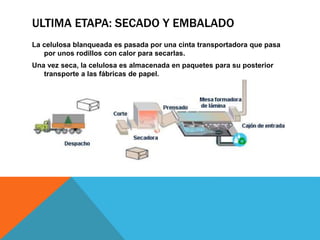 ULTIMA ETAPA: SECADO Y EMBALADO 
La celulosa blanqueada es pasada por una cinta transportadora que pasa 
por unos rodillos con calor para secarlas. 
Una vez seca, la celulosa es almacenada en paquetes para su posterior 
transporte a las fábricas de papel. 
