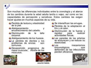 El papel de la pedagogia social en la tercera edad y la vejez | PPT