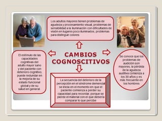 El papel de la pedagogia social en la tercera edad y la vejez | PPT