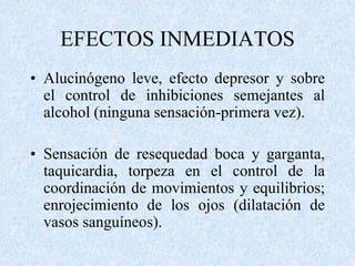 EFECTOS INMEDIATOS 
• Alucinógeno leve, efecto depresor y sobre 
el control de inhibiciones semejantes al 
alcohol (ninguna sensación-primera vez). 
• Sensación de resequedad boca y garganta, 
taquicardia, torpeza en el control de la 
coordinación de movimientos y equilibrios; 
enrojecimiento de los ojos (dilatación de 
vasos sanguíneos). 
 
