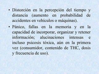 • Distorción en la percepción del tiempo y 
distancia (aumento en probabilidad de 
accidentes en vehículos o máquinas). 
• Pánico, fallas en la memoria y en la 
capacidad de incorporar, organizar y retener 
información; alucinaciones intensas e 
incluso psicosis tóxica, aún en la primera 
vez (consumidor, contenido de THC, dosis 
y frecuencia de uso). 
 