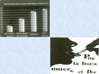 El papel de la prevencion