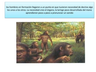 El papel del proceso de la transaformación del mono al hombre (F ...