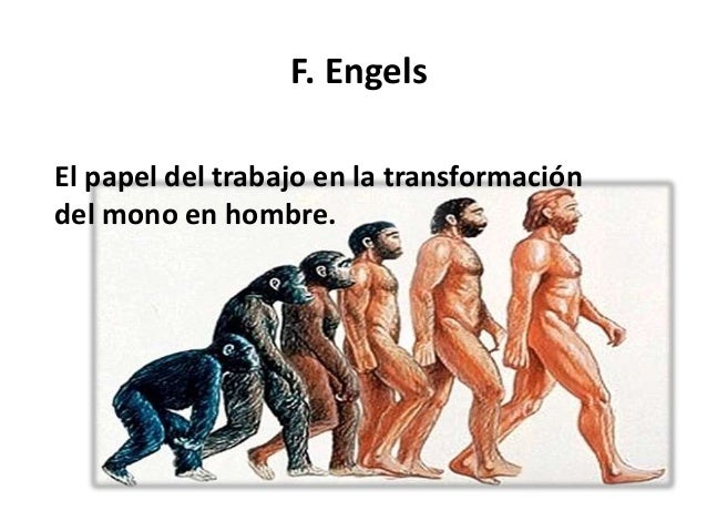 El papel del proceso de la transaformación del mono al hombre (F. ENG…