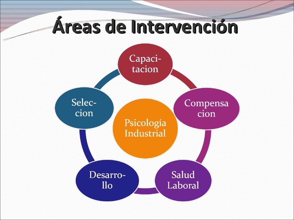 El papel del psicólogo industrial El papel del psicólogo industrial