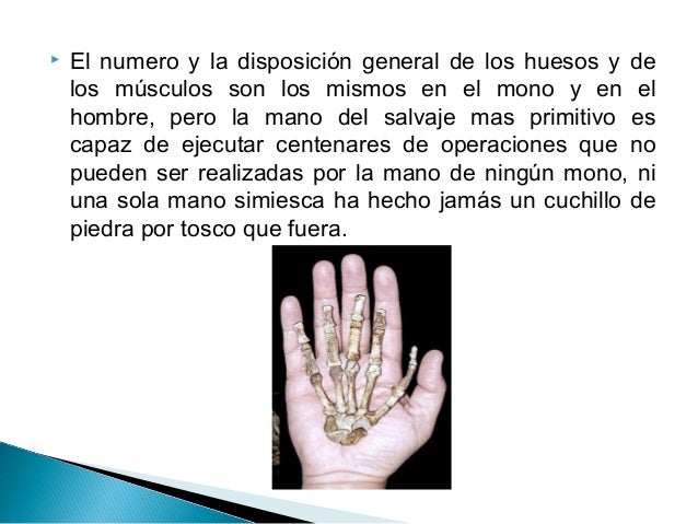 "El papel del trabajo en la transformación del mono en