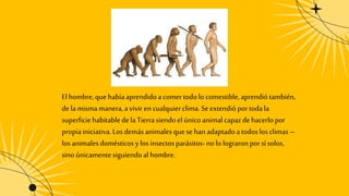 el papel de trabajo en la transformación del mono en hombre.pptx