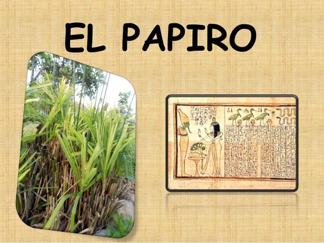 Resultado de imagen para que es papiro