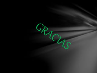 El Paradigma de la apertura internacional