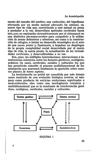 El paradigma perdido edgar morin