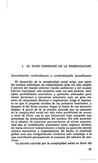 El paradigma perdido edgar morin
