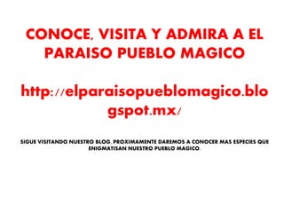 CONOCE, VISITA Y ADMIRA A EL 
PARAISO PUEBLO MAGICO 
http://elparaisopueblomagico.blo 
gspot.mx/ 
SIGUE VISITANDO NUESTRO BLOG, PROXIMAMENTE DAREMOS A CONOCER MAS ESPECIES QUE 
ENIGMATISAN NUESTRO PUEBLO MAGICO. 
