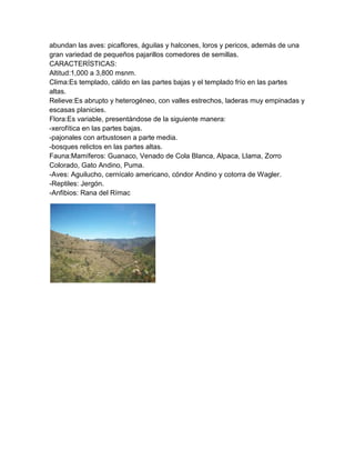 abundan las aves: picaflores, águilas y halcones, loros y pericos, además de una
gran variedad de pequeños pajarillos comedores de semillas.
CARACTERÍSTICAS:
Altitud:1,000 a 3,800 msnm.
Clima:Es templado, cálido en las partes bajas y el templado frío en las partes
altas.
Relieve:Es abrupto y heterogéneo, con valles estrechos, laderas muy empinadas y
escasas planicies.
Flora:Es variable, presentándose de la siguiente manera:
-xerofítica en las partes bajas.
-pajonales con arbustosen a parte media.
-bosques relictos en las partes altas.
Fauna:Mamíferos: Guanaco, Venado de Cola Blanca, Alpaca, Llama, Zorro
Colorado, Gato Andino, Puma.
-Aves: Aguilucho, cernícalo americano, cóndor Andino y cotorra de Wagler.
-Reptiles: Jergón.
-Anfibios: Rana del Rímac
 
