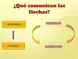 ¿Qué comunican las
flechas?
 