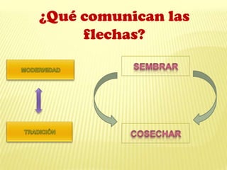 ¿Qué comunican las
flechas?
 