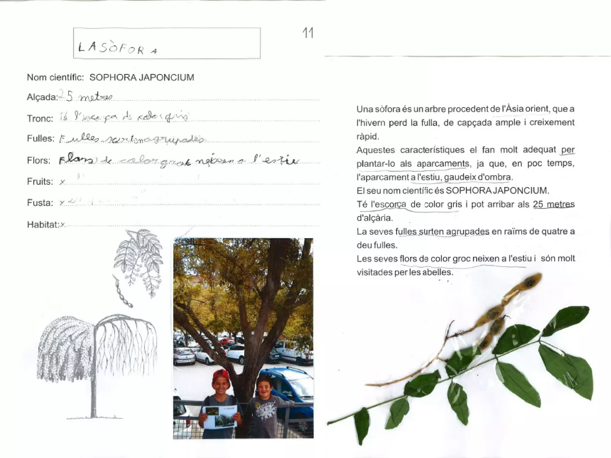 El parc de Sant Julià