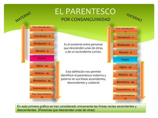 EL PARENTESCO
POR CONSANGUINIDAD
Es el existente entre personas
que descienden unas de otras,
o de un ascendiente común.
Esta definición nos permite
identificar el parentesco materno y
paterno en sus líneas ascendentes,
descendentes y colateral
Bisniet/os - as
Niet/os - as
Hij/os - as
Madre
Abue/o - a
Bisabue/o - a
Tatarabue/o - a
Tras tatarabue/o -
a
Tataraniet/os - as
Tras tataraniet/os -
as
Bisniet/os - as
Niet/os - as
Hij/os - as
Padre
Abue/o - a
Bisabue/o - a
Tatarabue/o - a
Tras tatarabue/o -
a
Tataraniet/os - as
Tras tataraniet/os -
as
En esta primera gráfica se han considerado únicamente las líneas rectas ascendentes y
descendentes (Personas que descienden unas de otras)
 