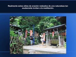 Realmente estos sitios de oración rodeados de una naturaleza tan
              exuberante invitan a la meditación.
 