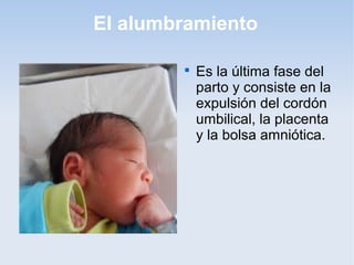 El alumbramiento

        
            Es la última fase del
            parto y consiste en la
            expulsión del cordón
            umbilical, la placenta
            y la bolsa amniótica.
 