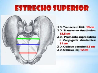  D. Transverso Útil: 13 cm
 D. Transverso Anatómico:
  13.5 cm
 D. Promonto-Suprapúbico
  o Conjugada Anatómica:
  11 cm
 D. Oblicuo derecho:12 cm
 D. Oblicuo izq: 12 cm
 