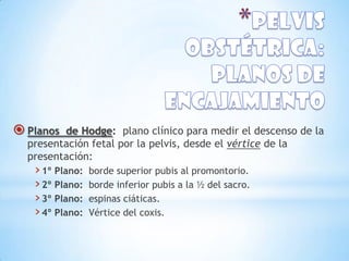  Planos de Hodge: plano clínico para medir el descenso de la
  presentación fetal por la pelvis, desde el vértice de la
  presentación:
   › 1º Plano:   borde superior pubis al promontorio.
   › 2º Plano:   borde inferior pubis a la ½ del sacro.
   › 3º Plano:   espinas ciáticas.
   › 4º Plano:   Vértice del coxis.
 
