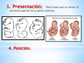 3. Presentación:                 Parte fetal que se ofrece al
 estrecho superior de la pelvis materna.




4. Posición.
 