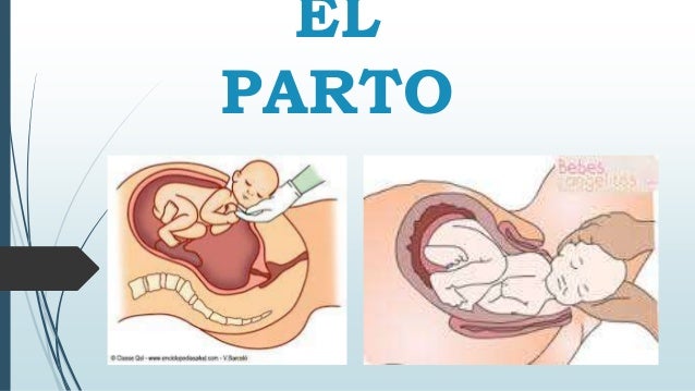 https://image.slidesharecdn.com/elparto-161101201727/95/el-parto-y-sus-etapas-1-638.jpg?cb=1478031479