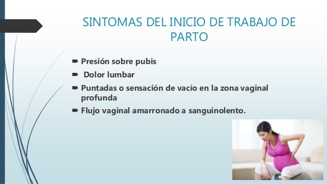 El Parto Y Sus Etapas