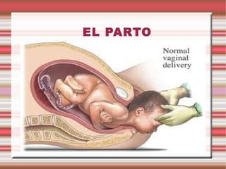 El parto alba y manuela | PPT