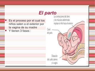 El parto
   Es el proceso por el cual los
    niños salen a el exterior por
    la vagina de su madre
   Y tienen 3 fases :
 