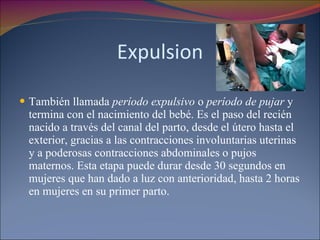Expulsion También llamada  período expulsivo  o  período de pujar  y termina con el nacimiento del bebé. Es el paso del recién nacido a través del canal del parto, desde el útero hasta el exterior, gracias a las contracciones involuntarias uterinas y a poderosas contracciones abdominales o pujos maternos. Esta etapa puede durar desde 30 segundos en mujeres que han dado a luz con anterioridad, hasta 2 horas en mujeres en su primer parto. 