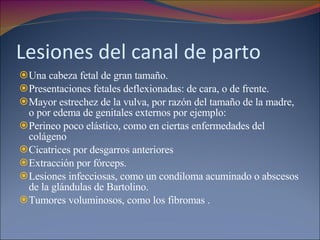 Lesiones del canal de parto Una cabeza fetal de gran tamaño. Presentaciones fetales deflexionadas: de cara, o de frente. Mayor estrechez de la vulva, por razón del tamaño de la madre, o por edema de genitales externos por ejemplo:  Perineo poco elástico, como en ciertas enfermedades del colágeno  Cicatrices por desgarros anteriores Extracción por fórceps.  Lesiones infecciosas, como un condiloma acuminado o abscesos de la glándulas de Bartolino. Tumores voluminosos, como los fibromas . 