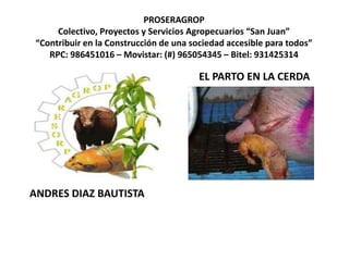 EL PARTO EN LA CERDA