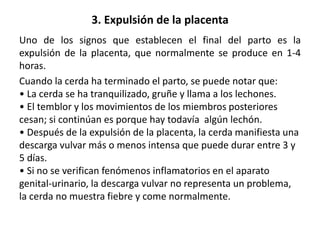 EL PARTO EN LA CERDA