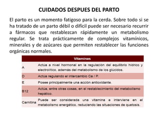 EL PARTO EN LA CERDA