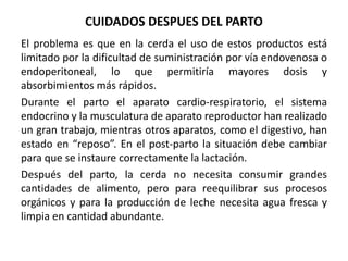 EL PARTO EN LA CERDA