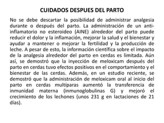 EL PARTO EN LA CERDA