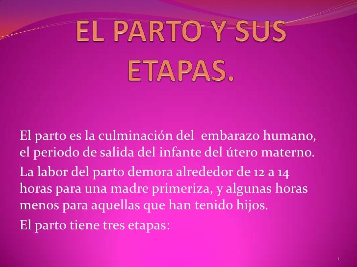 El Parto Y Sus Etapas