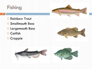 Fishing Rainbow Trout Smallmouth Bass Largemouth Bass Catfish  Crappie 