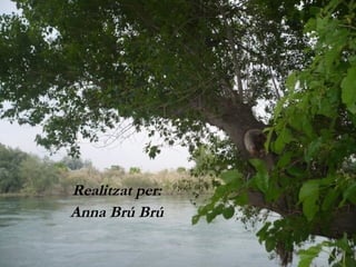 Realitzat per: Anna Brú Brú 
